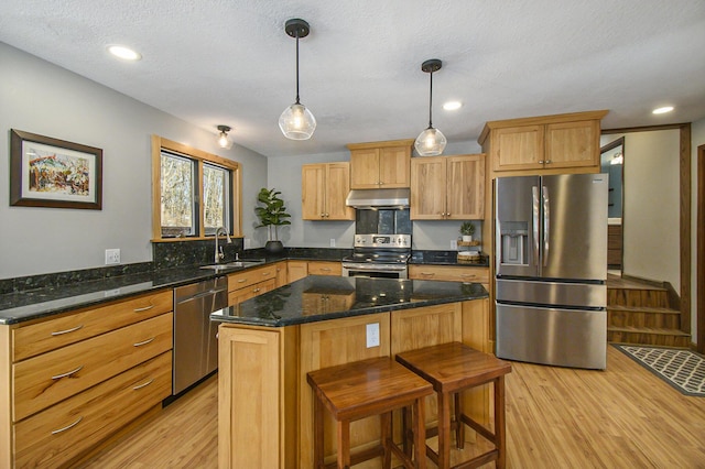 kitchen with stainless steel appliances, a sink, under cabinet range hood, and light wood finished floors