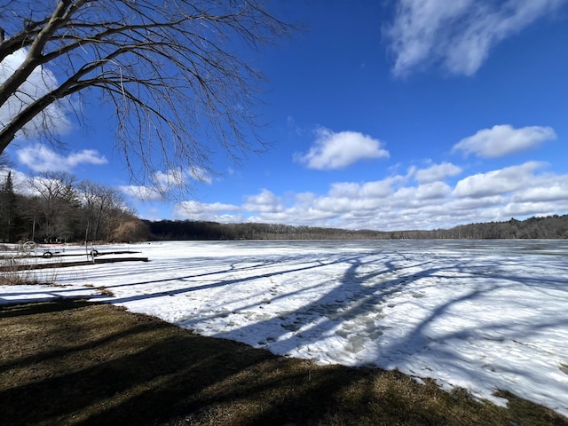 property view of water