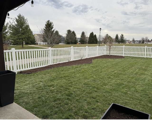 view of yard with a fenced backyard