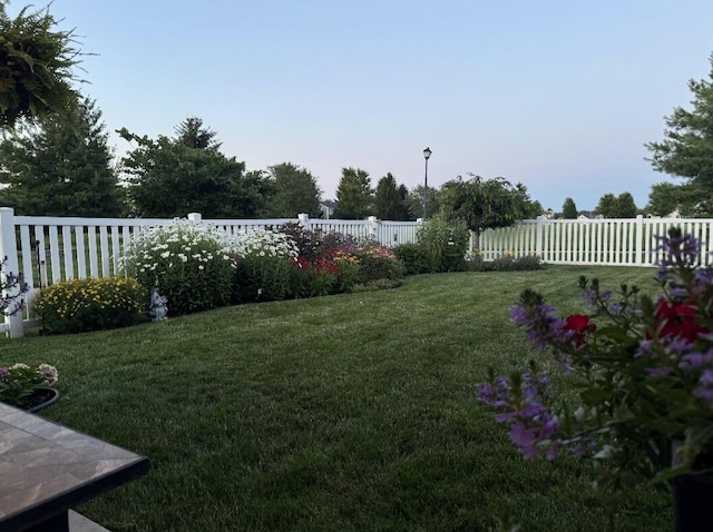 view of yard with a fenced backyard