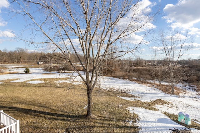 view of yard layered in snow