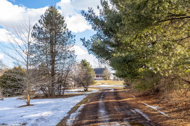 view of street with dirt driveway