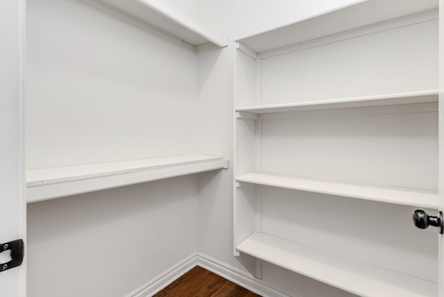 spacious closet with dark wood-type flooring