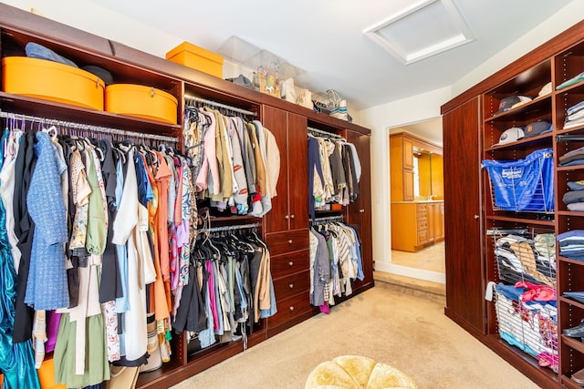 walk in closet with attic access and carpet