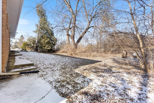 view of snowy yard