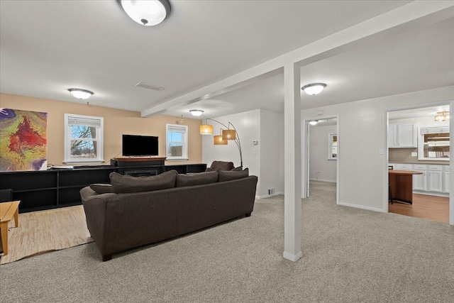 living area with carpet, visible vents, and baseboards