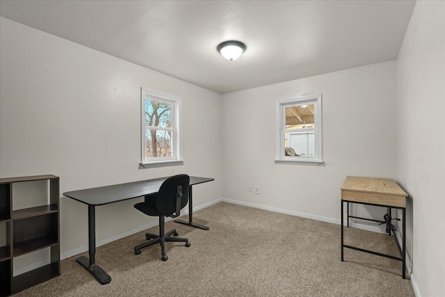 office space featuring carpet floors and baseboards