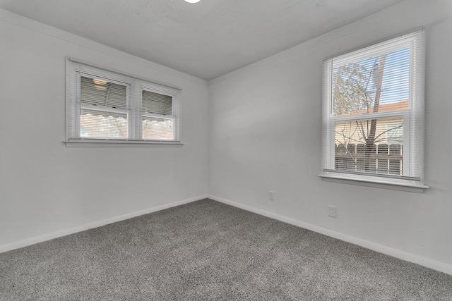 empty room with carpet, baseboards, and a wealth of natural light