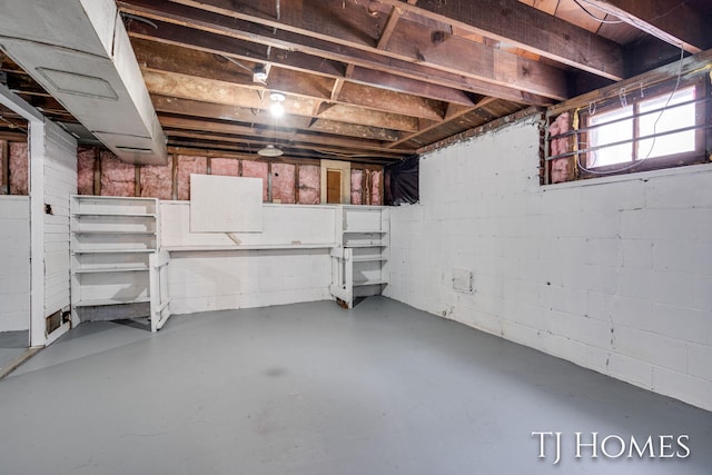 basement with concrete block wall