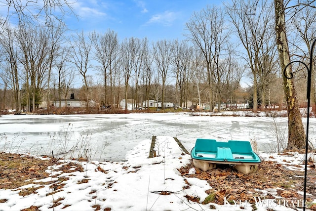 view of yard layered in snow