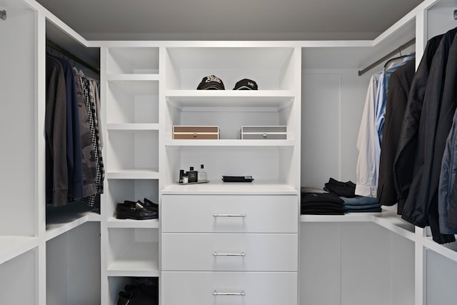 view of spacious closet