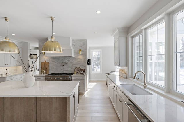 kitchen with light wood finished floors, decorative backsplash, appliances with stainless steel finishes, premium range hood, and a sink