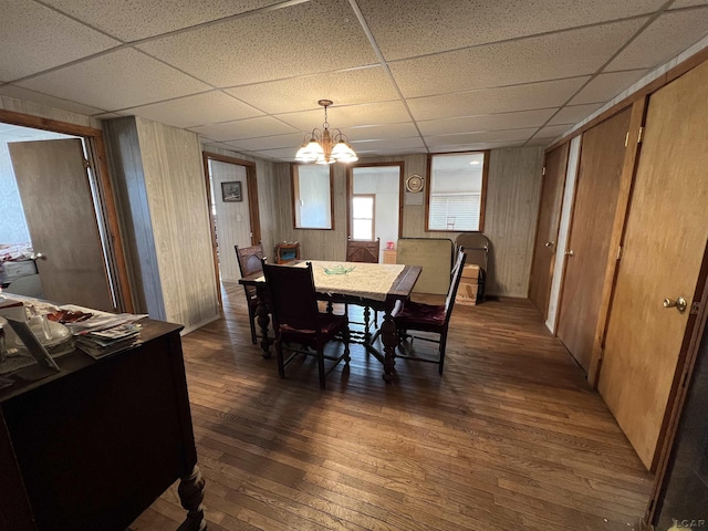 dining room with a chandelier, a drop ceiling, dark wood finished floors, and wood walls