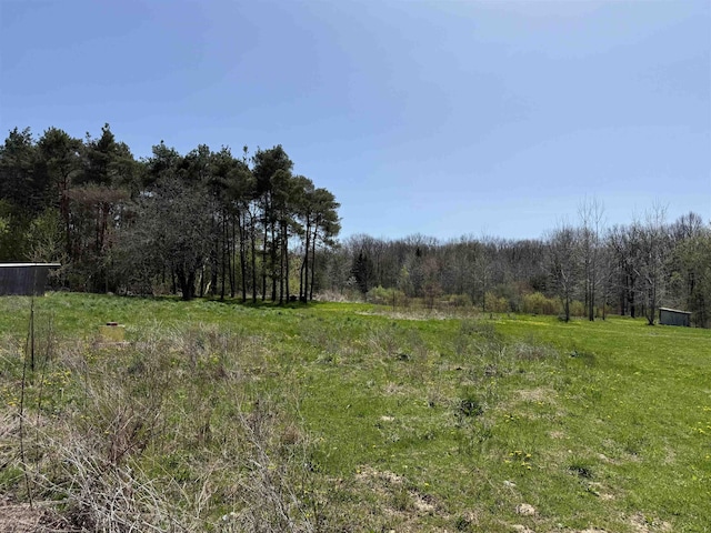 5235 Lahring Rd, Linden, MI 48451 - view of nature with a view of trees