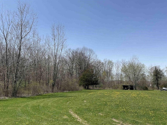 5235 Lahring Rd, Linden, MI 48451 - view of yard
