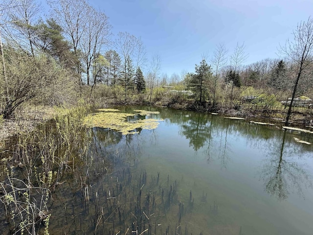 5235 Lahring Rd, Linden, MI 48451 - view of water feature