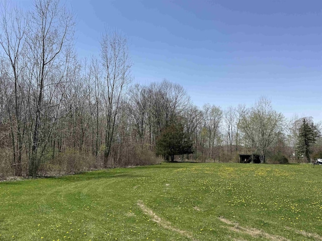 5235 Lahring Rd, Linden, MI 48451 - view of yard