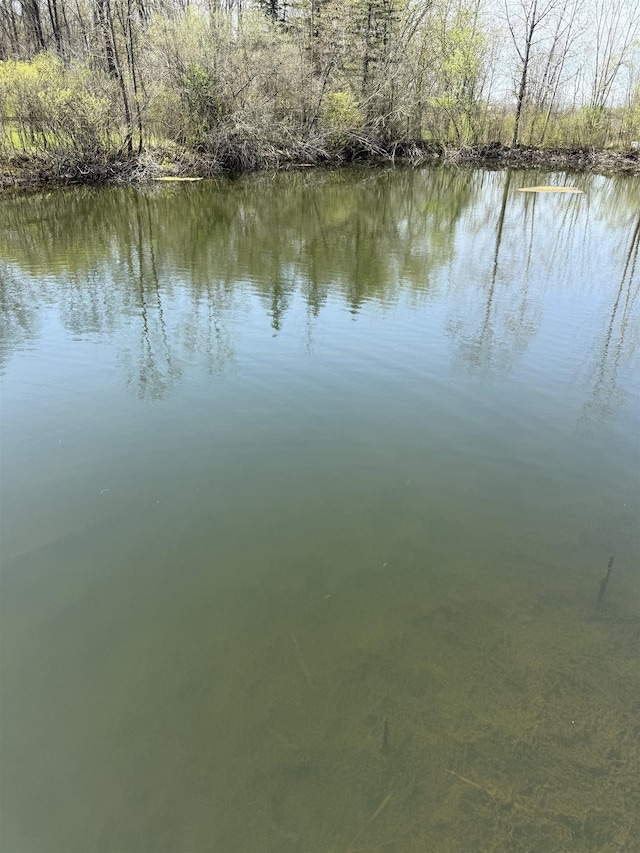 5235 Lahring Rd, Linden, MI 48451 - property view of water