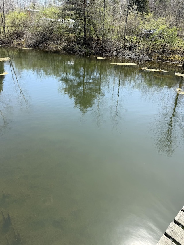5235 Lahring Rd, Linden, MI 48451 - water view