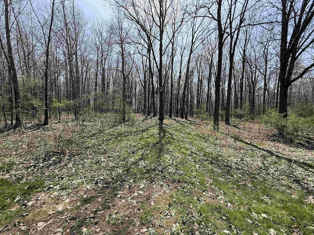 5235 Lahring Rd, Linden, MI 48451 - view of landscape with a view of trees