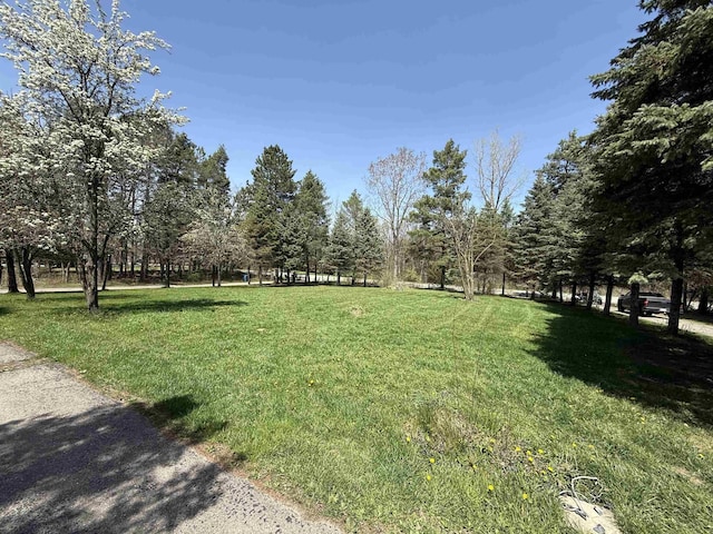 5235 Lahring Rd, Linden, MI 48451 - view of yard
