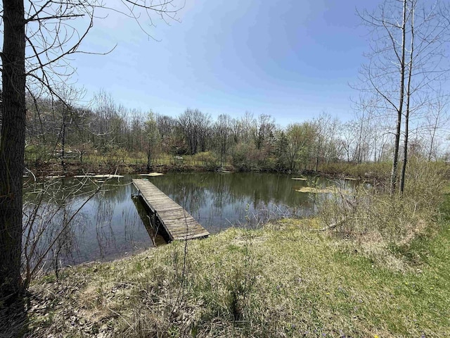 5235 Lahring Rd, Linden, MI 48451 - view of dock featuring a water view and a view of trees