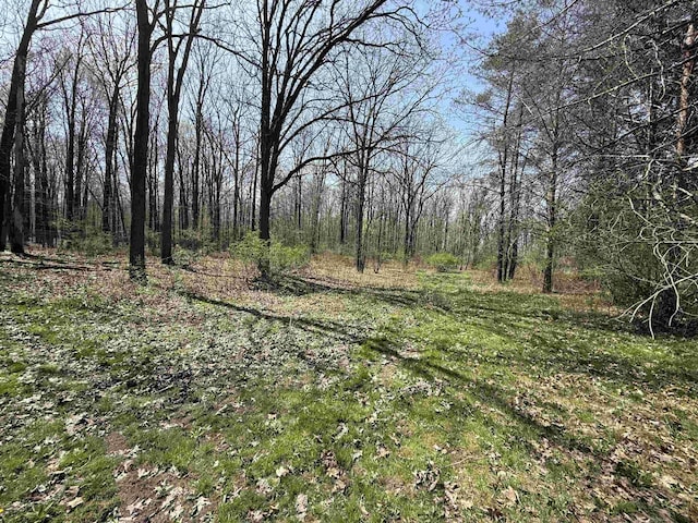 5235 Lahring Rd, Linden, MI 48451 - view of landscape featuring a forest view