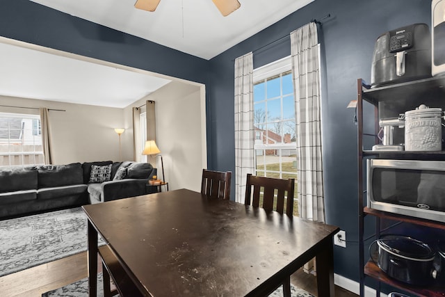 dining room with ceiling fan and wood finished floors