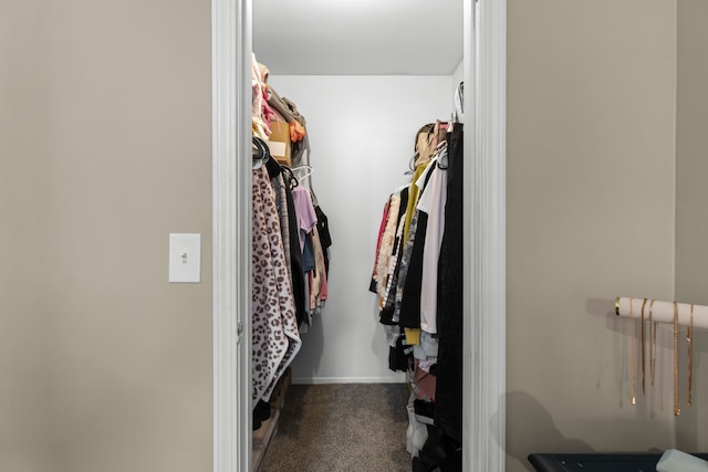 spacious closet featuring carpet floors