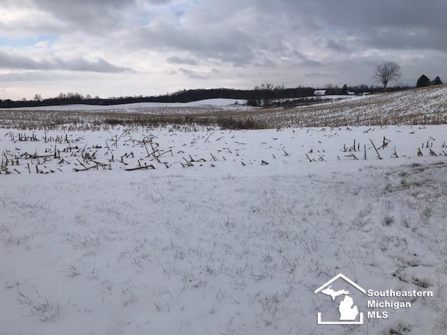 view of yard layered in snow