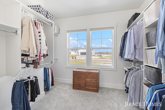 spacious closet featuring carpet floors