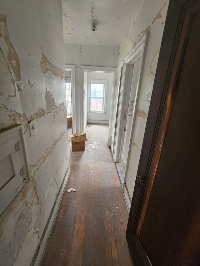 corridor featuring hardwood / wood-style flooring