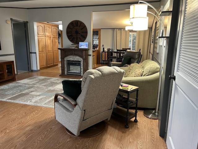 living area featuring a fireplace and light wood-style flooring