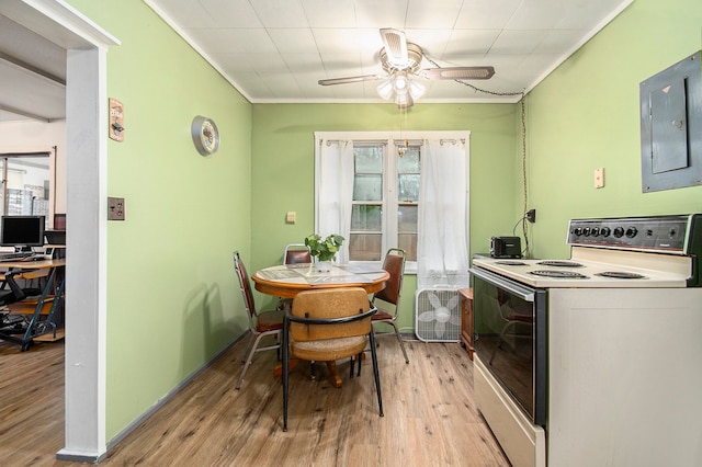 dining space with ceiling fan, ornamental molding, electric panel, and light wood-style floors