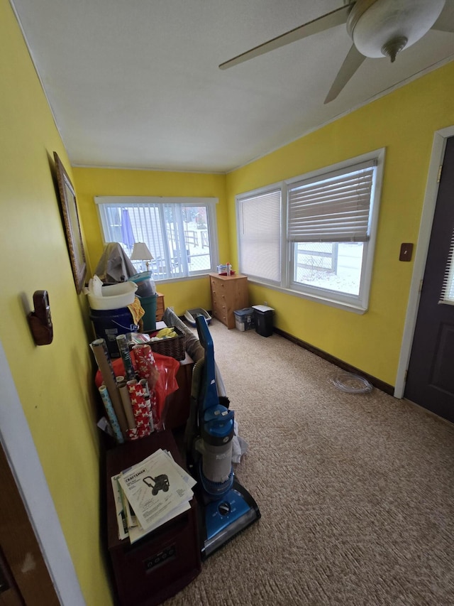 interior space with plenty of natural light and a ceiling fan