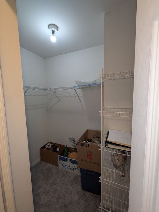 walk in closet featuring carpet