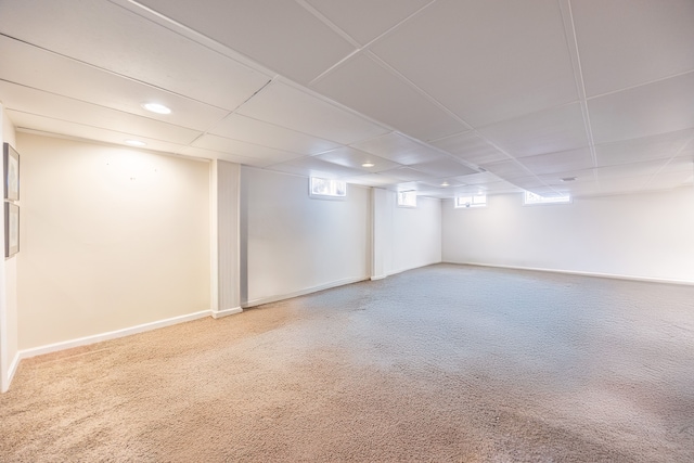 basement featuring baseboards, a drop ceiling, and carpet flooring