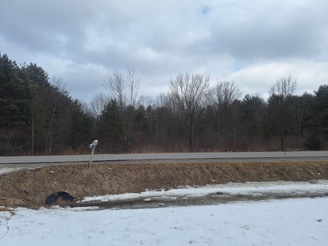 1471 Wadhams Rd, Kimball, MI 48074 - view of road with a forest view