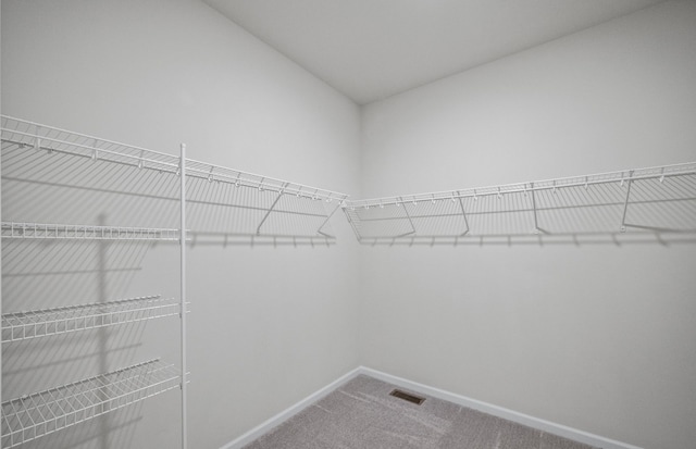 spacious closet featuring carpet and visible vents