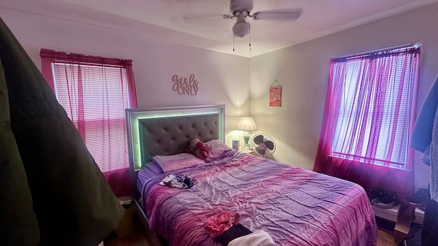 bedroom with ceiling fan