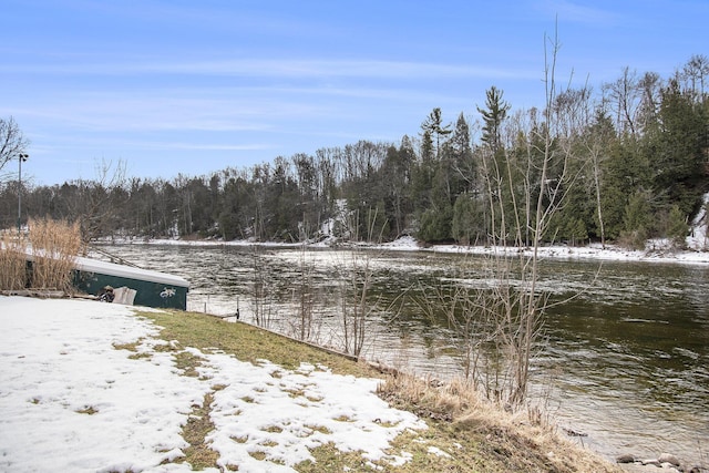 view of yard featuring a water view and a wooded view