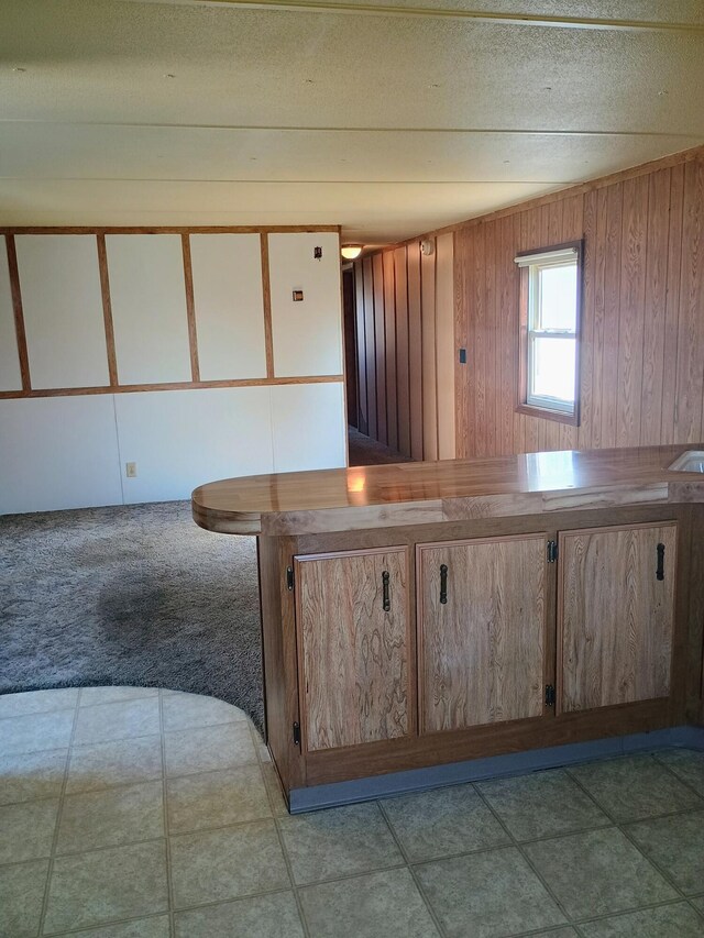 kitchen featuring carpet flooring and wood walls