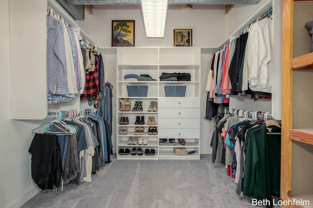 walk in closet featuring carpet flooring