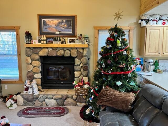 living area with a stone fireplace and a healthy amount of sunlight