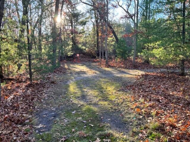 view of road featuring a wooded view