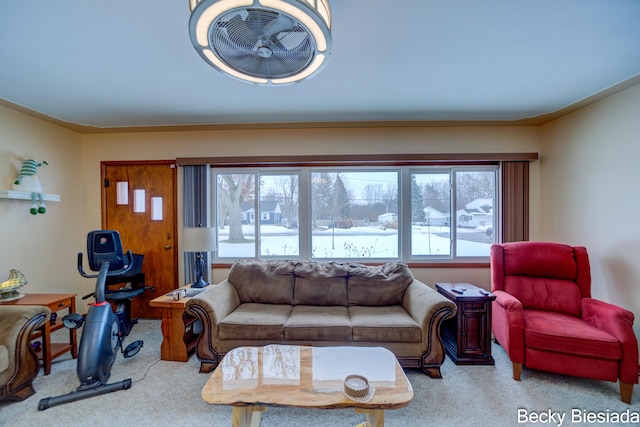 view of carpeted living area