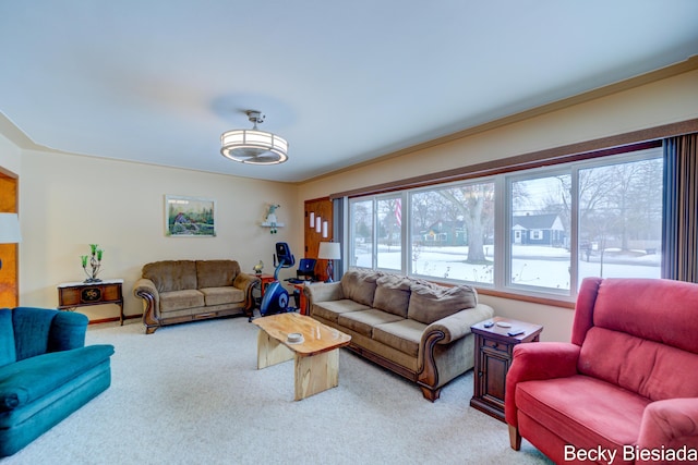 view of carpeted living room