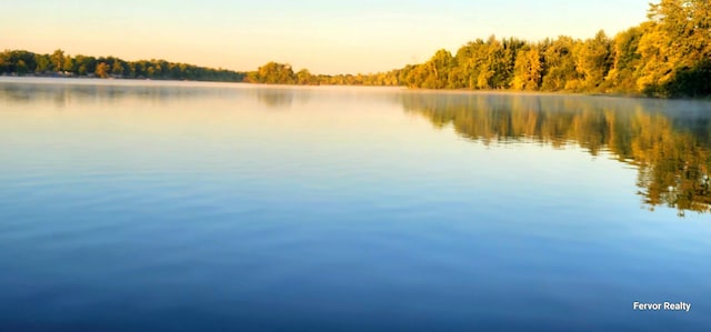 water view with a view of trees