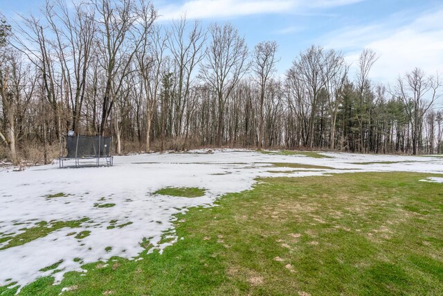 view of yard featuring a trampoline