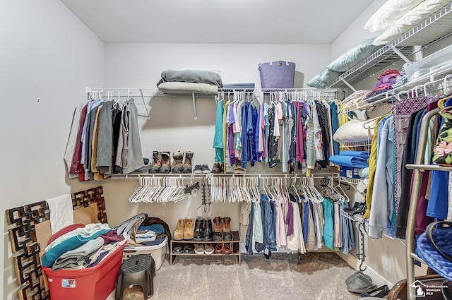 spacious closet featuring carpet flooring